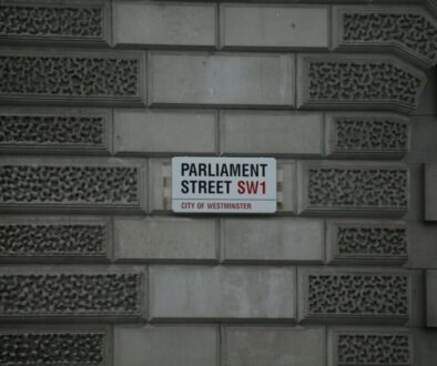 Co to jest partia polityczna i jakie są jej funkcje w państwie?