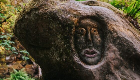 Historia polskiego państwa – od piastów do współczesności